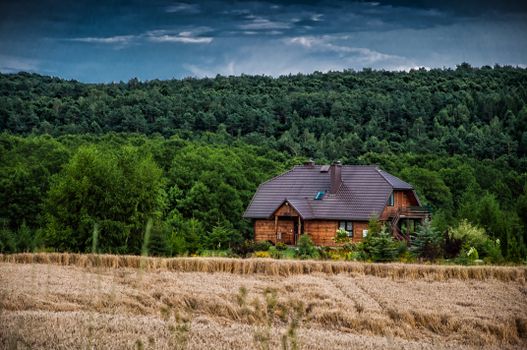 Exterior of cottage located near woodland with tall green trees and agricultural field with rye in suburb area in countryside