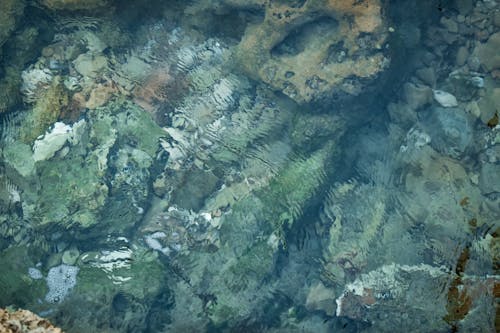 Rocks Underwater Shallow Water