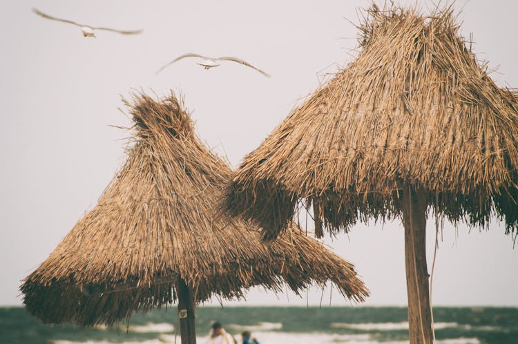 Thatched Roof Of Beach Hut