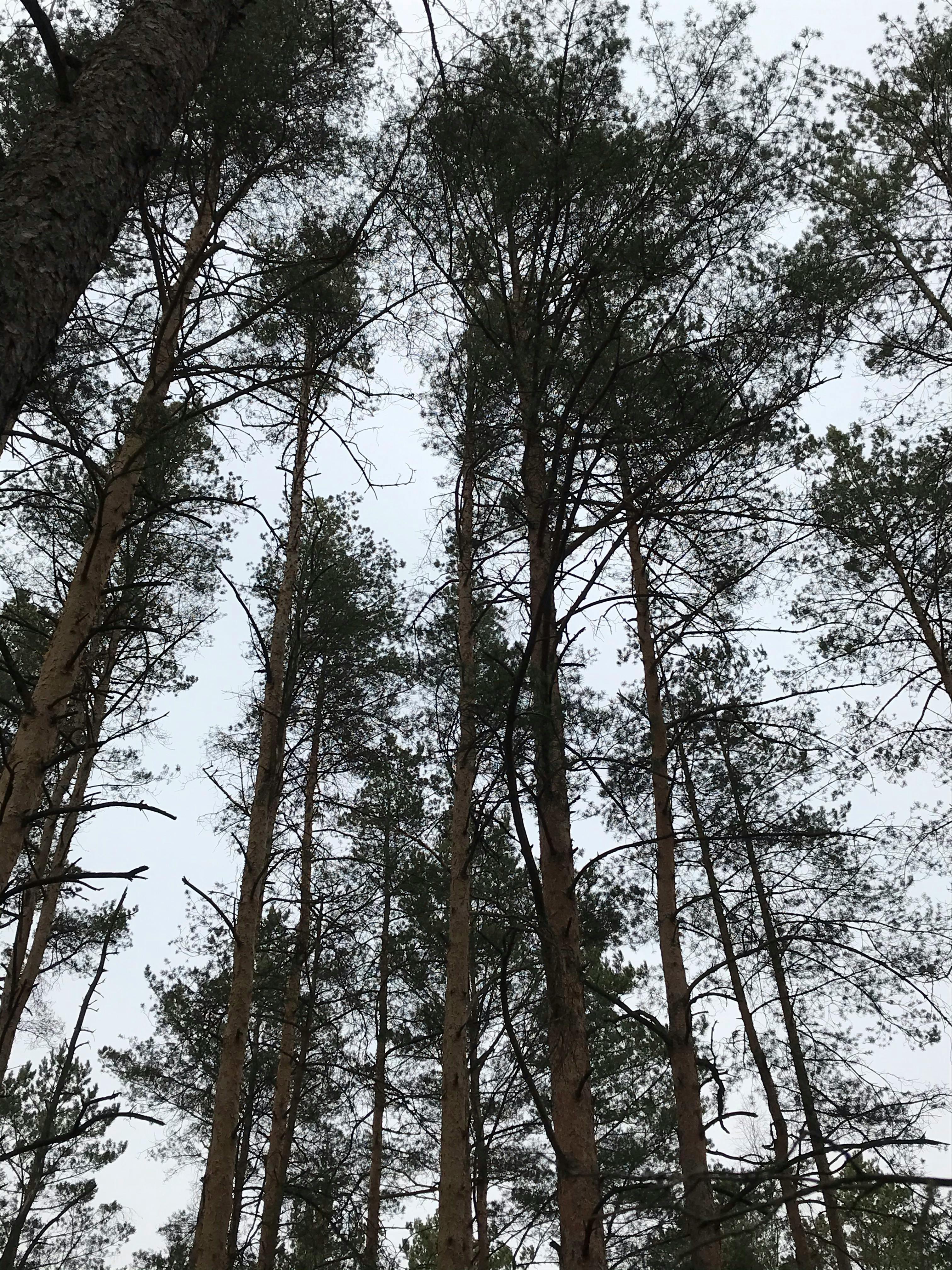 호스텔 공용 라운지