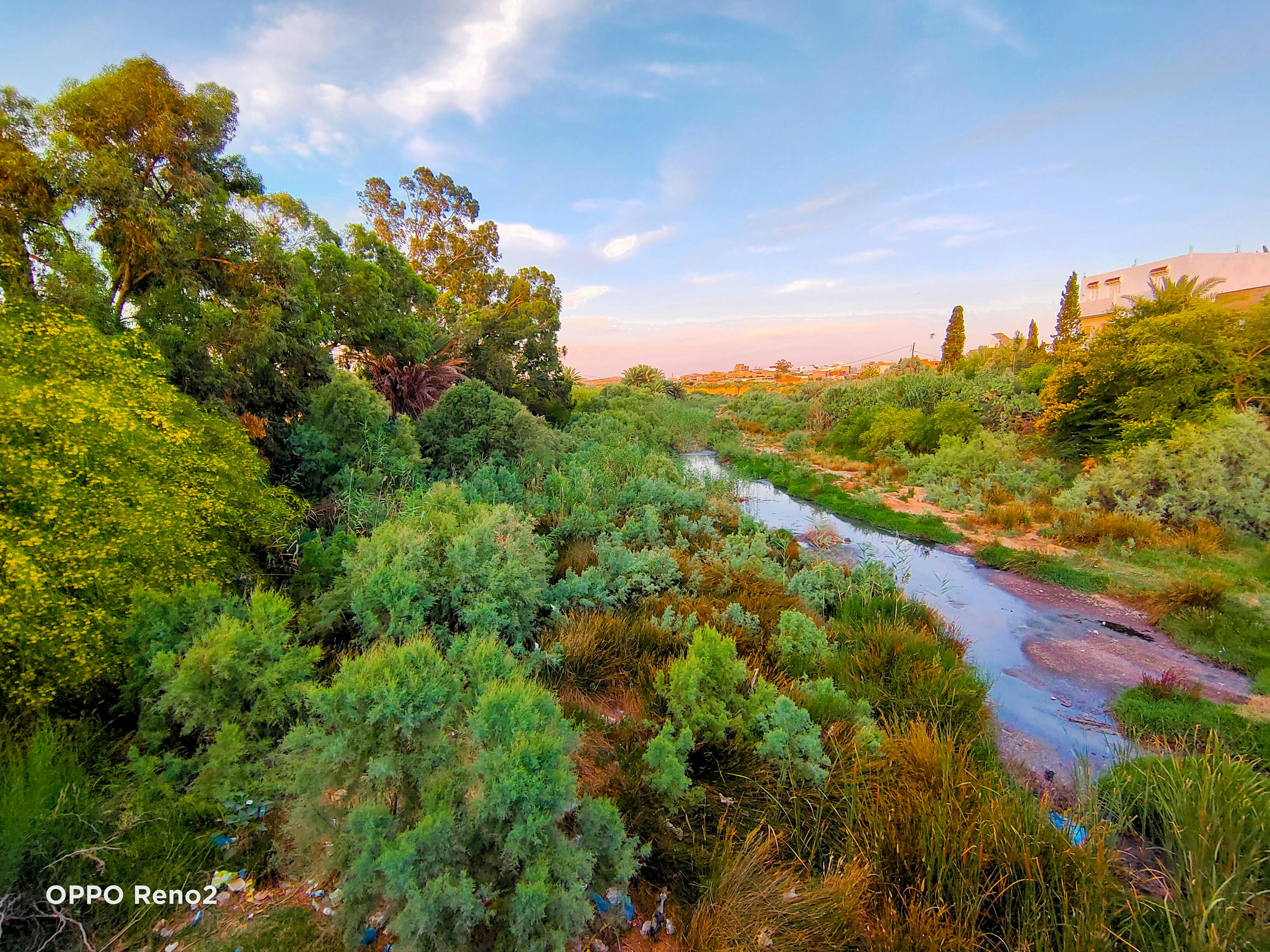 Comida cetogénica preparada