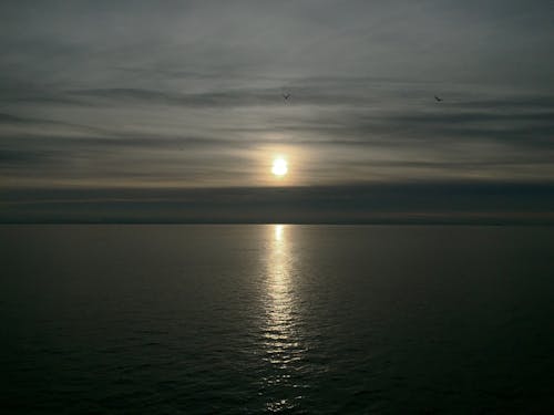 Fotobanka s bezplatnými fotkami na tému birds_flying, horizont, nad morom