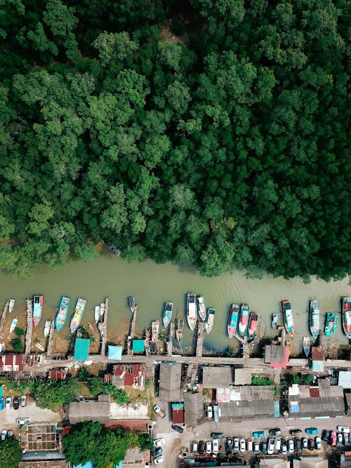 Free Drone view of typical settlement with residential building and parked cars located on gulf of sea with moored on piers boats and green trees Stock Photo