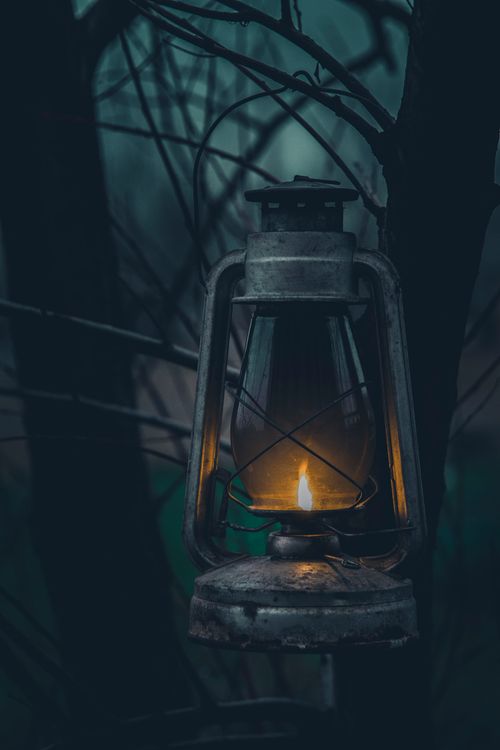 Free An antique lantern casting a warm glow in a dark, mysterious forest scenery. Perfect for atmospheric themes. Stock Photo