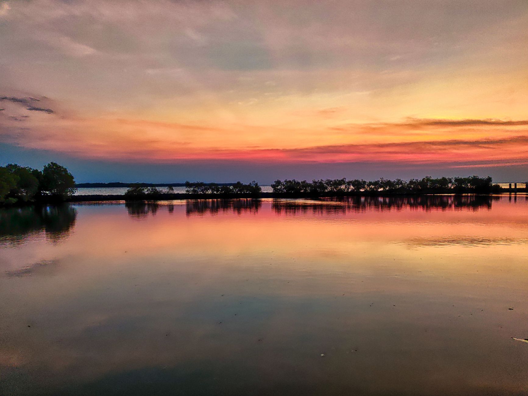 The Last Light of Kuala Sepetang: Photographing Fireflies and Mangrove Reflections at Dusk Along Malaysia's West Coast