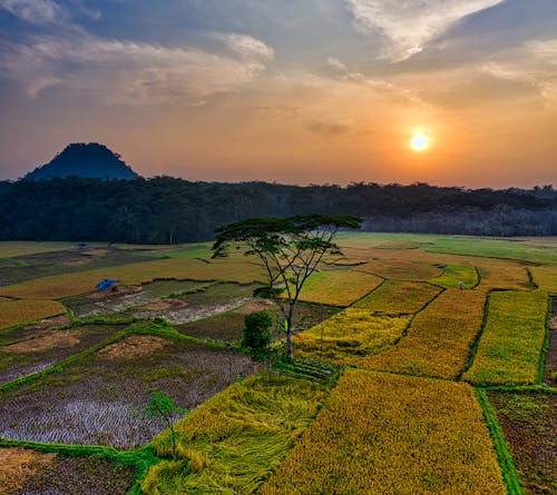 Rice fields in mountainous countryside against amazing sunset sky