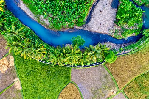Free Spectacular drone view of curvy narrow river with turquoise water flowing amidst palm trees growing on rice paddy field in tropical countryside Stock Photo