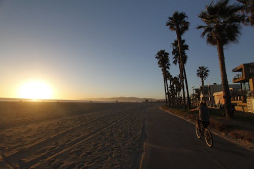 Gratis stockfoto met amerika, fiets, palmbomen