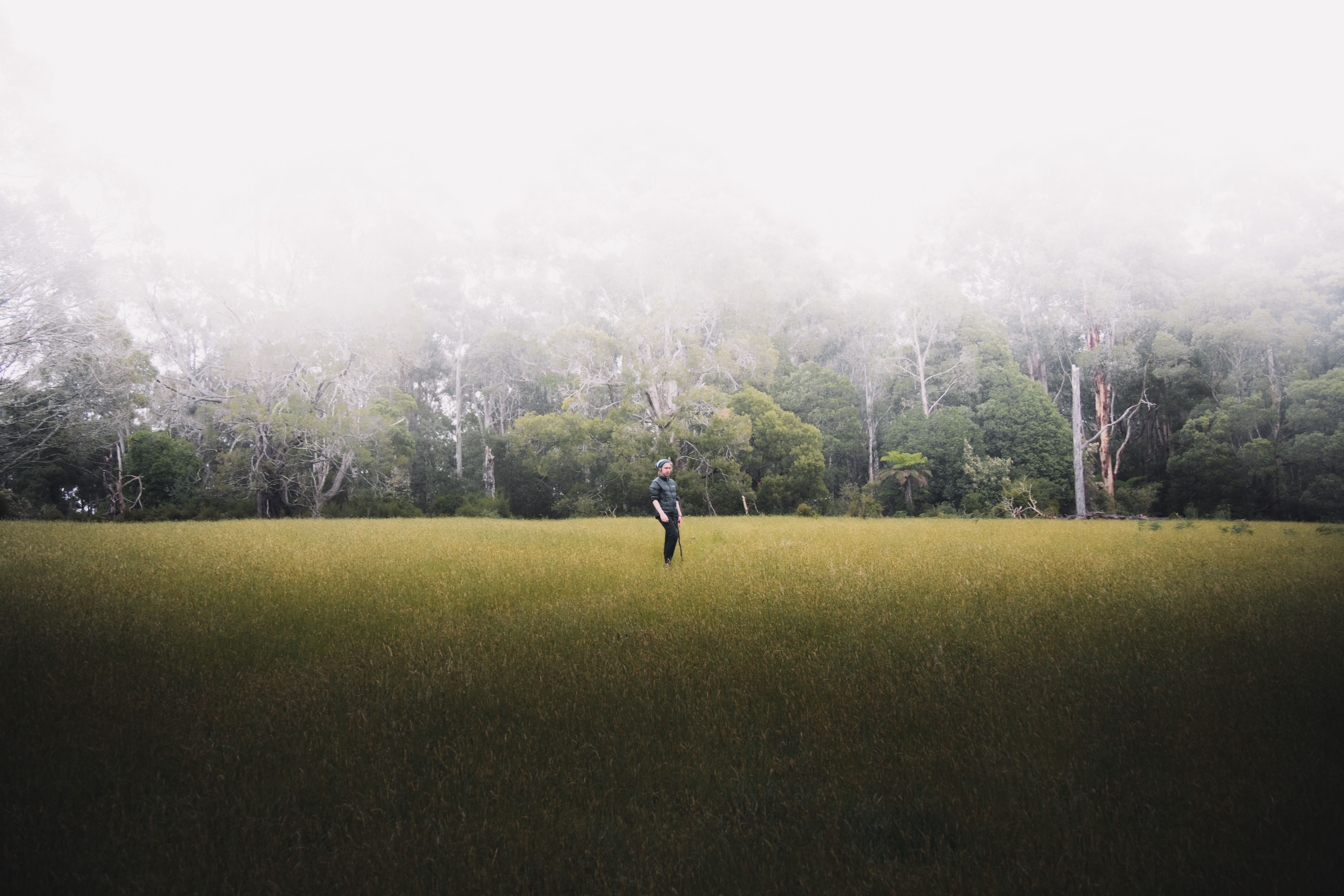 A Man Standing on Green Grass Field · Free Stock Photo