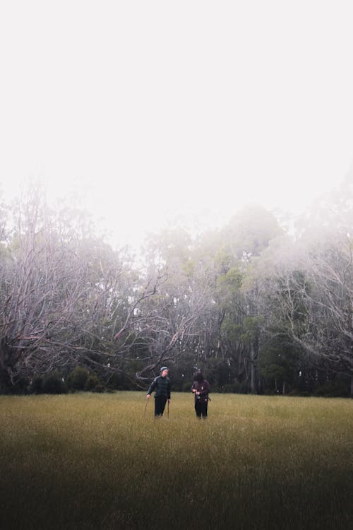 Fog above People Standing on a Grass Field