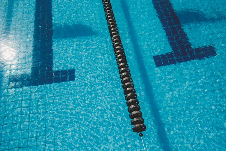 Roll Shaped Lane Marker In Swimming Pool With Shiny Water