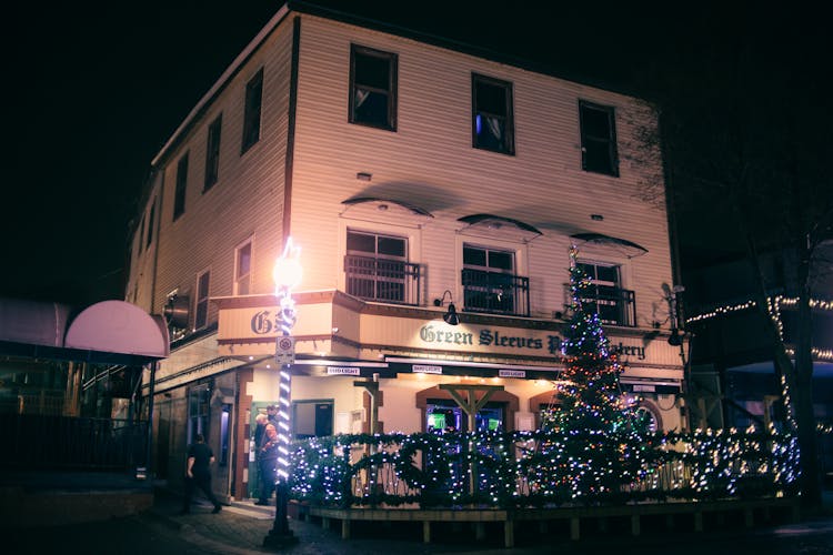 Building Of Night Pub Surrounded With Christmas Trees