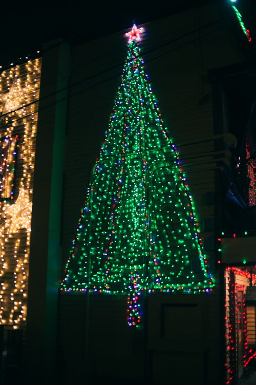 Free Luminous decoration of garlands of Christmas tree on festive holiday in late night Stock Photo