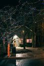 Bright shimmering garland decorating branches of leafless trees near residential house at night