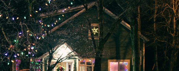 Outdoor Christmas lighting trees