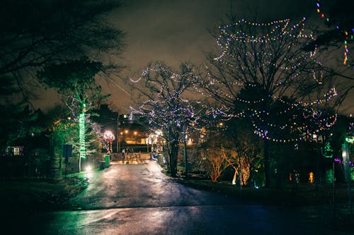 Night city with leafless trees decorated with sparkling lights of garlands on street with houses