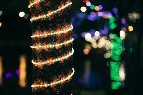 Illuminating multicolored garland on tree trunk in dark