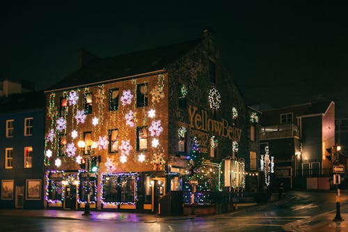 Illuminated building with Christmas tree and garlands