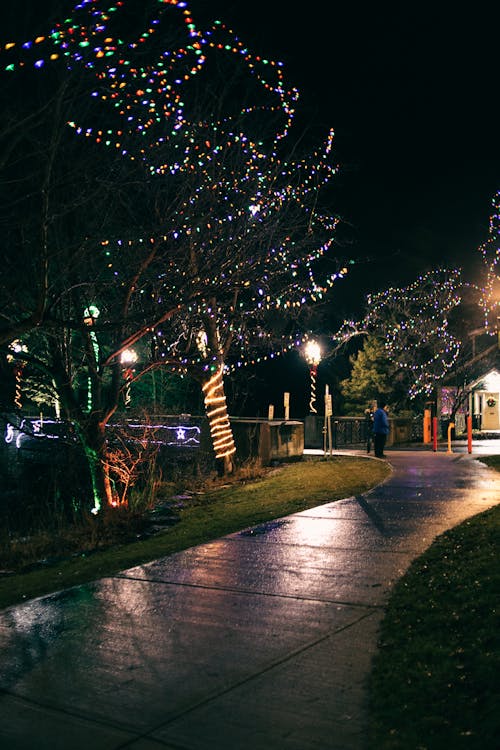 Curved footpath with streetlamps and glowing garlands located on trees in city park at night