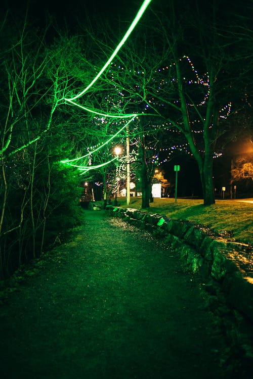 Empty road with glowing green and white lights on trees and streetlamps in night