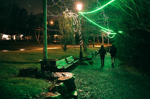 People walking in park with glowing garlands