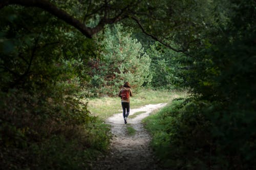 Δωρεάν στοκ φωτογραφιών με backpacker, trekking, αγνώριστος