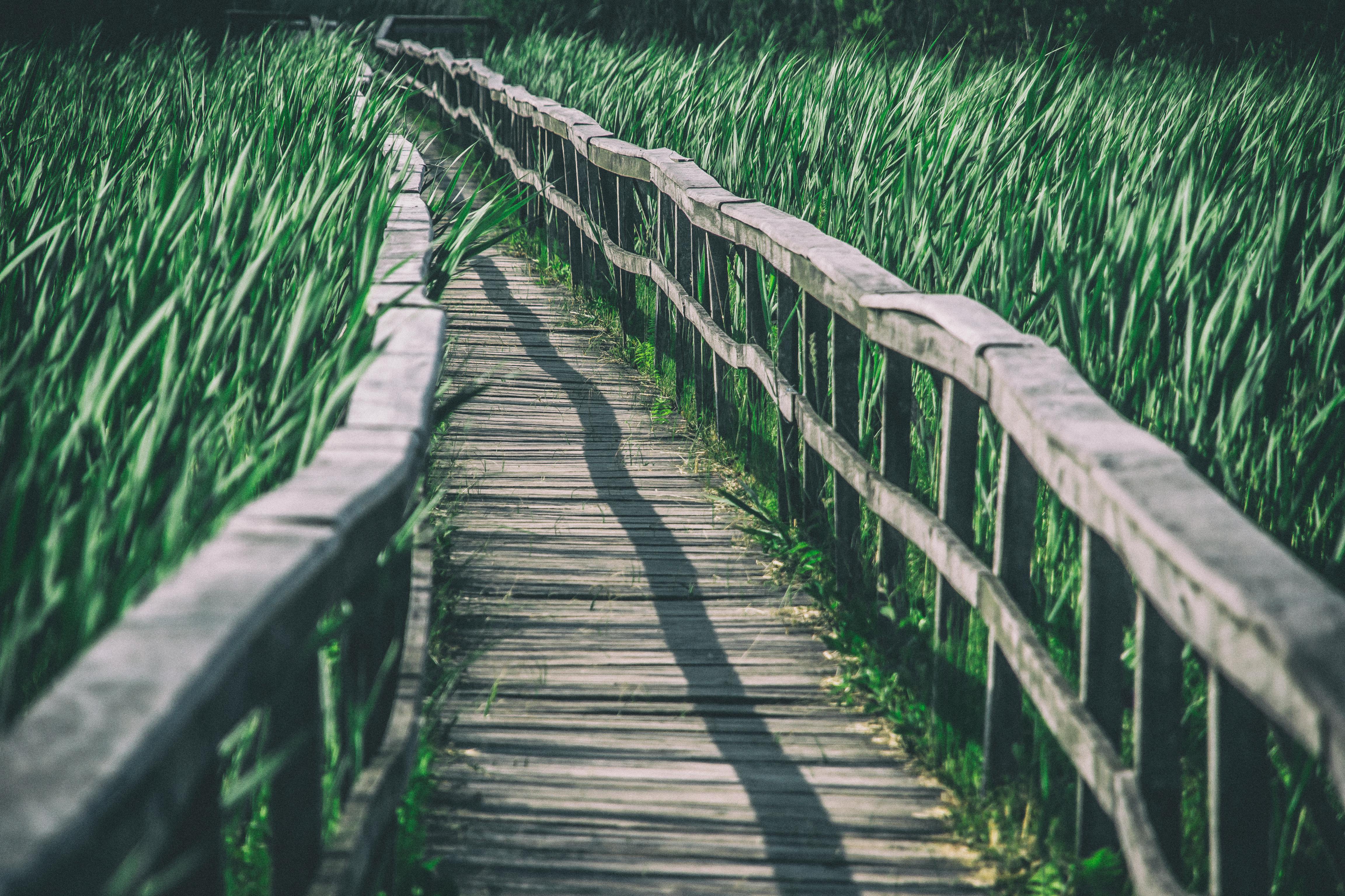 What boards should know about ESG governance — Photo by Piotr Arnoldes on Pexels