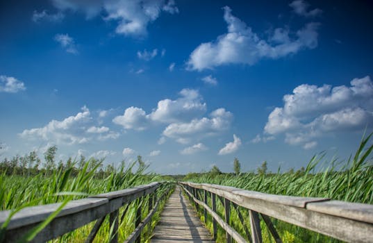 Image by Piotr Arnoldes