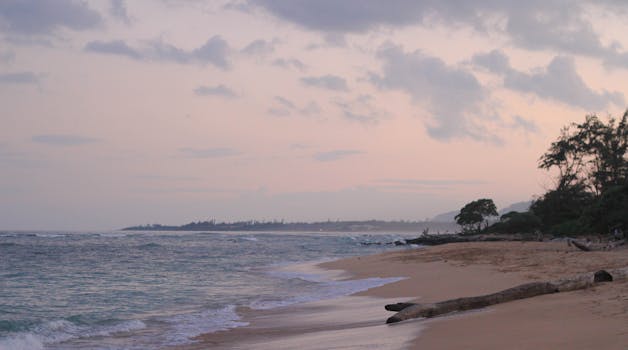 日落时分，宁静的海滩上，浮木、海浪与柔和的天空共同勾勒出海岸的静谧美景
