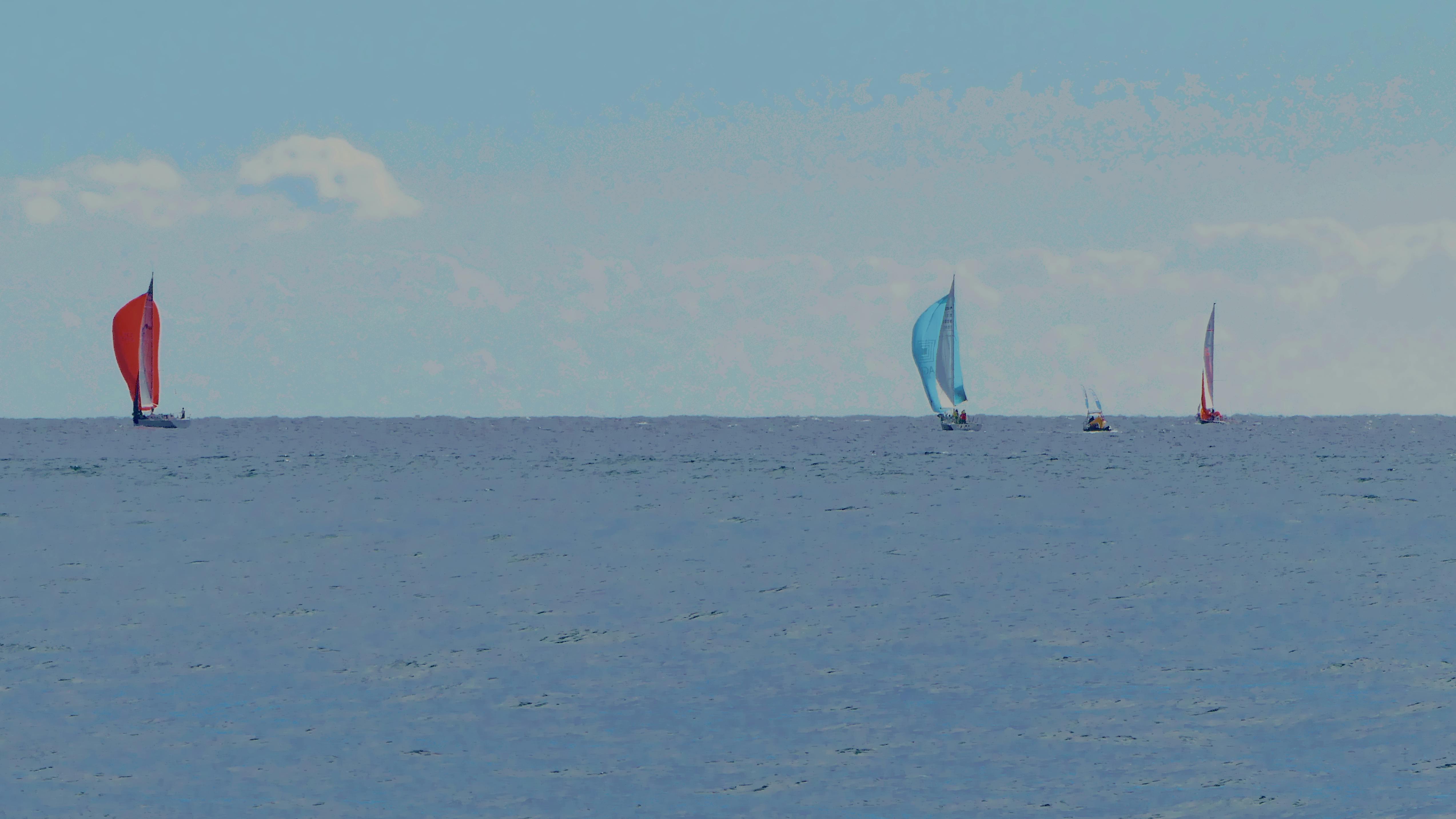 化妆品进货采购订单