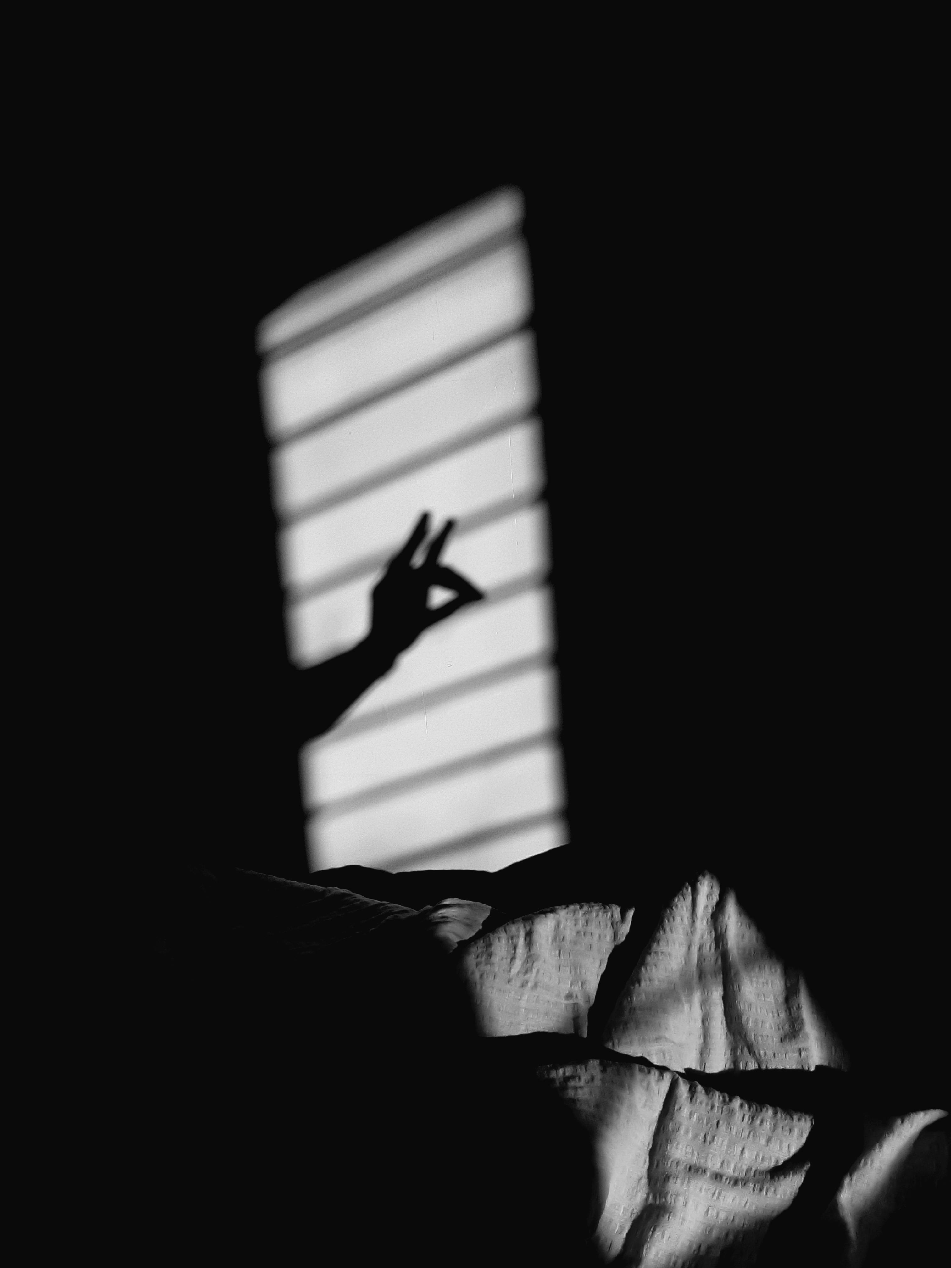 A Person Making Animals Image Using His Hand Shadow · Free Stock Photo