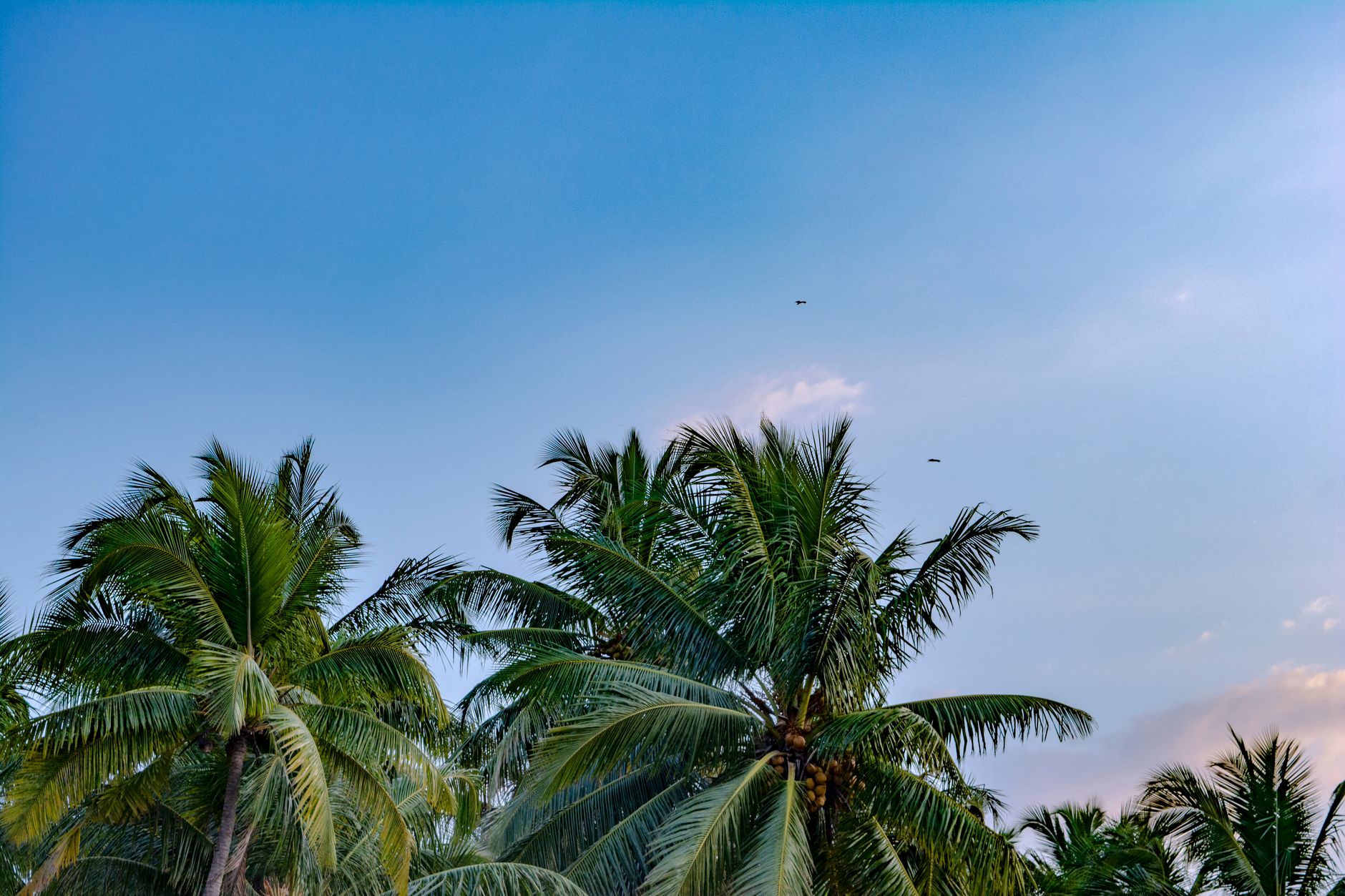 Hotel Swarnaa Paradise: Location, Rates, Amenities & Reviews