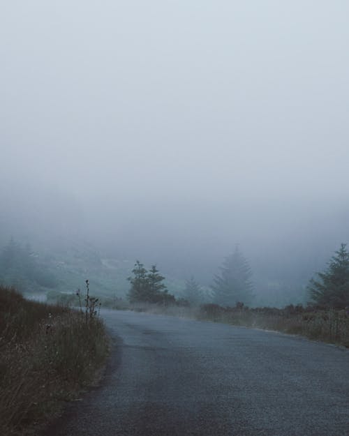 Low Visibility on a Mountain Road