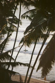 Photo by Lukas Schulz Sandy beach with tall exotic palms near wavy ocean with surfer with surfboard