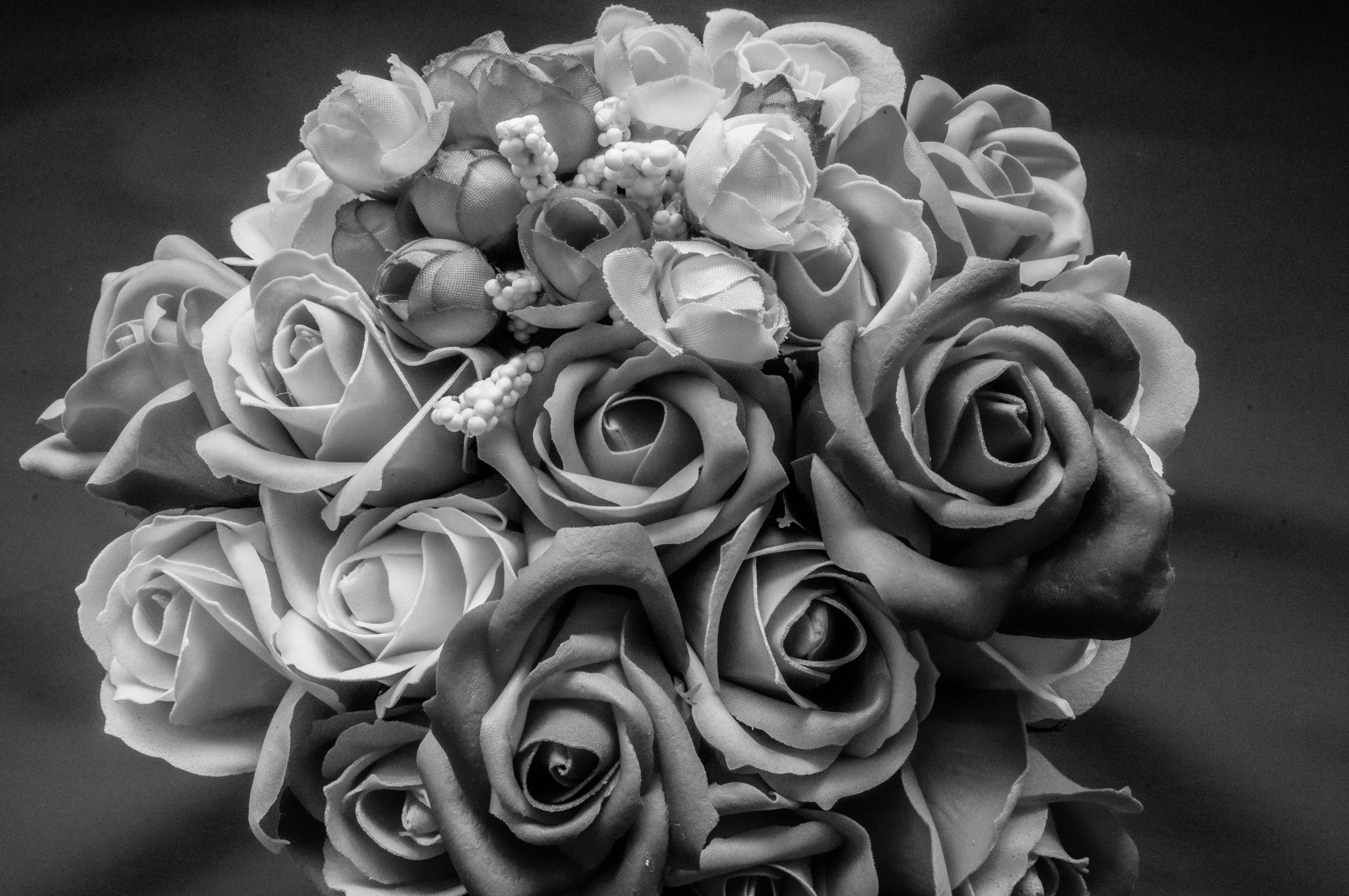 grayscale flowers photography