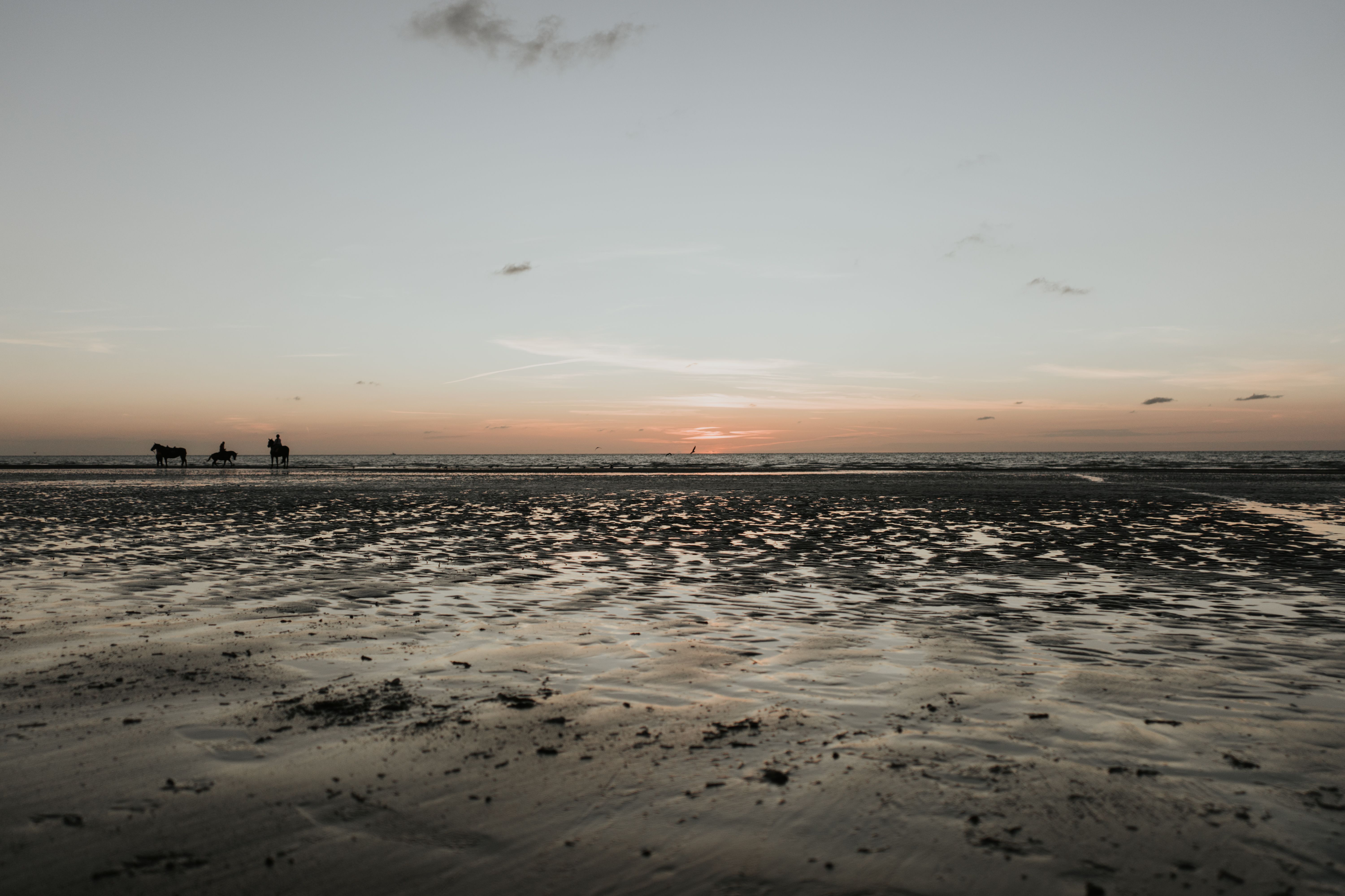 Belfort Tower, De Panne — Cabour Dune Ridge