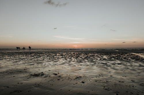 Foto profissional grátis de à beira-mar, alvorecer, beira mar