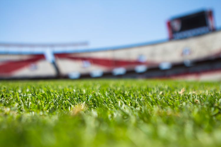 Green Grass Across Beige Red Open Sports Stadium During Daytime