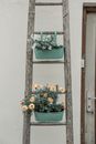 Plants in Buckets Hanging on a Wooden Ladder