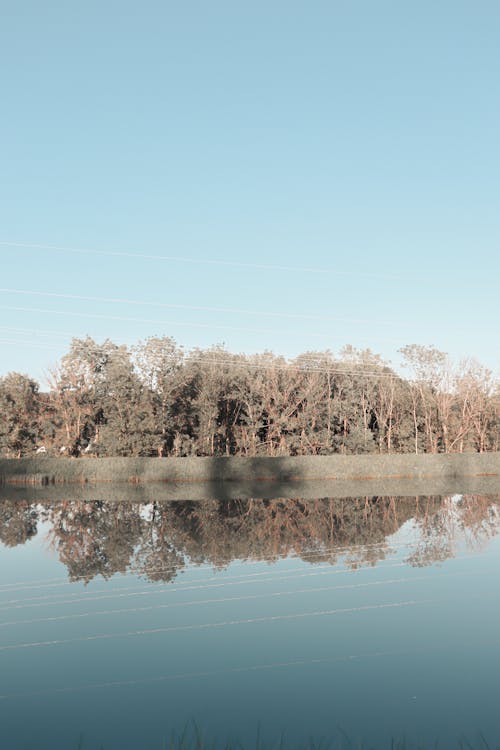 Foto profissional grátis de água, ao ar livre, árvores