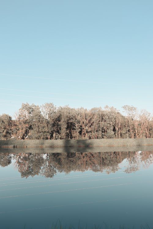 Free A peaceful lake scene with tree reflections under a clear blue sky, perfect for nature-related themes. Stock Photo