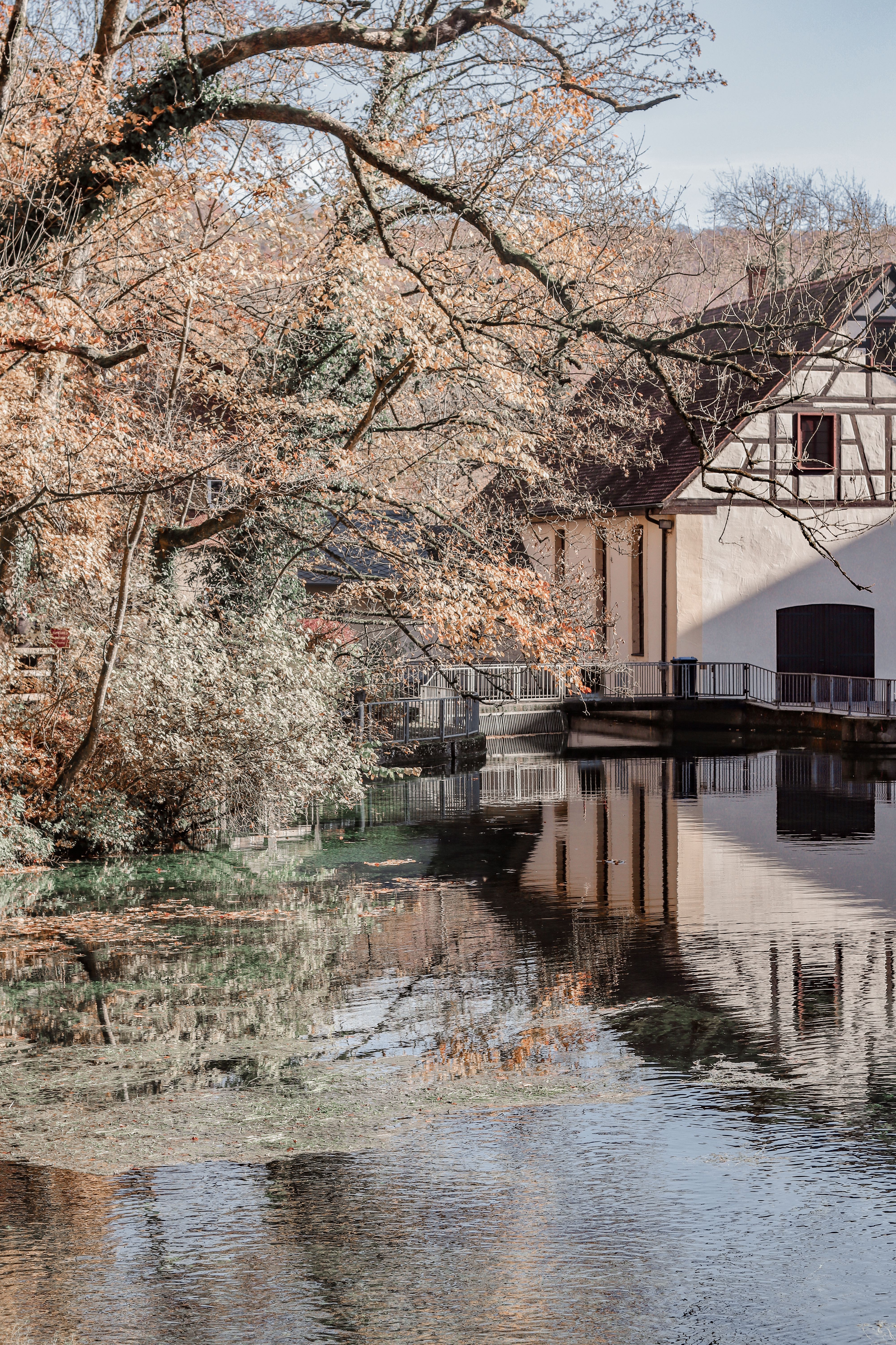 Brown and White House Near Body of Water · Free Stock Photo