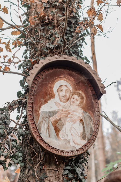 Foto profissional grátis de ancião, Antiguidade, arte