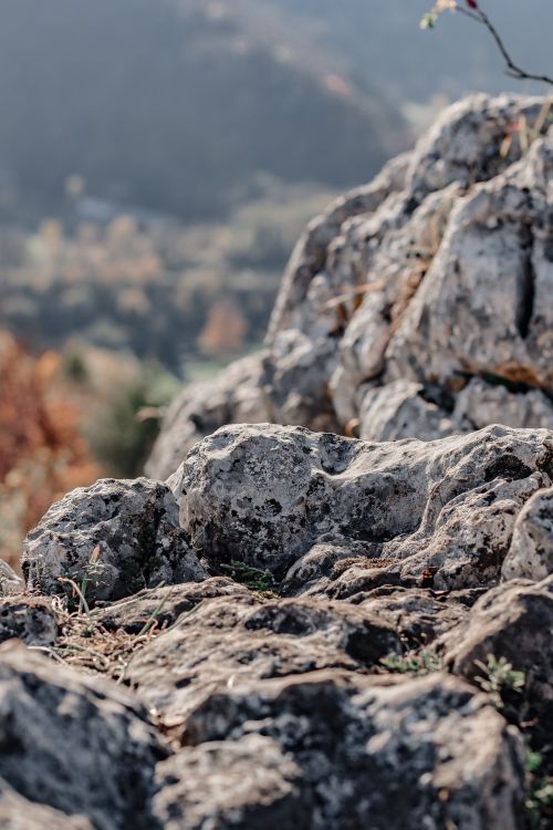 Free Close-up of rough rocky terrain in a natural outdoor setting, ideal for texture backgrounds. Stock Photo