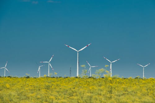 Windmills on a Grassy Field