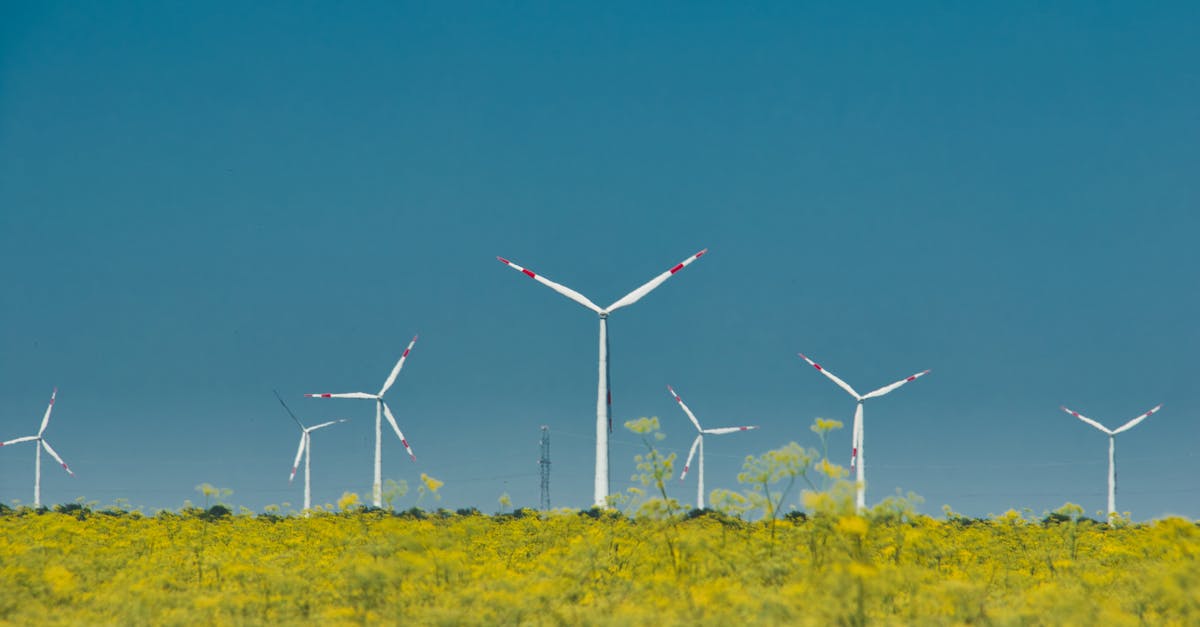 澎湖縣115年節能治理行動啟動,為什麼生活節電如此重要?