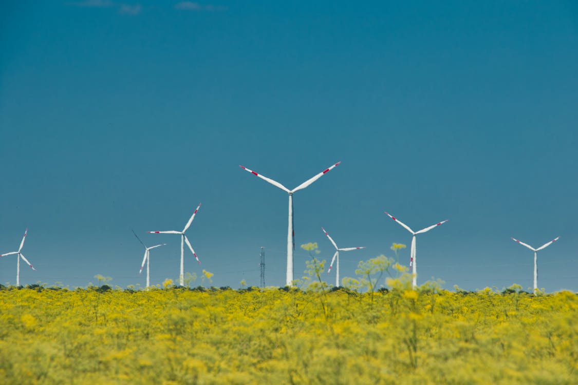 Windmills on a Grassy Field