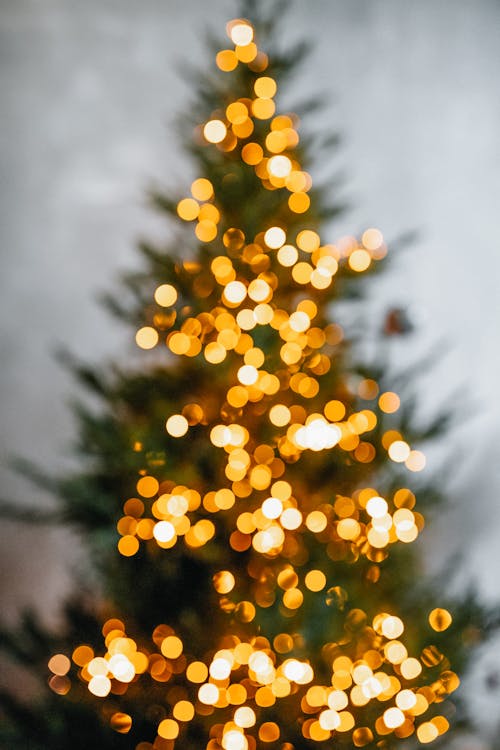 Free Christmas Lights on Christmas Tree Stock Photo