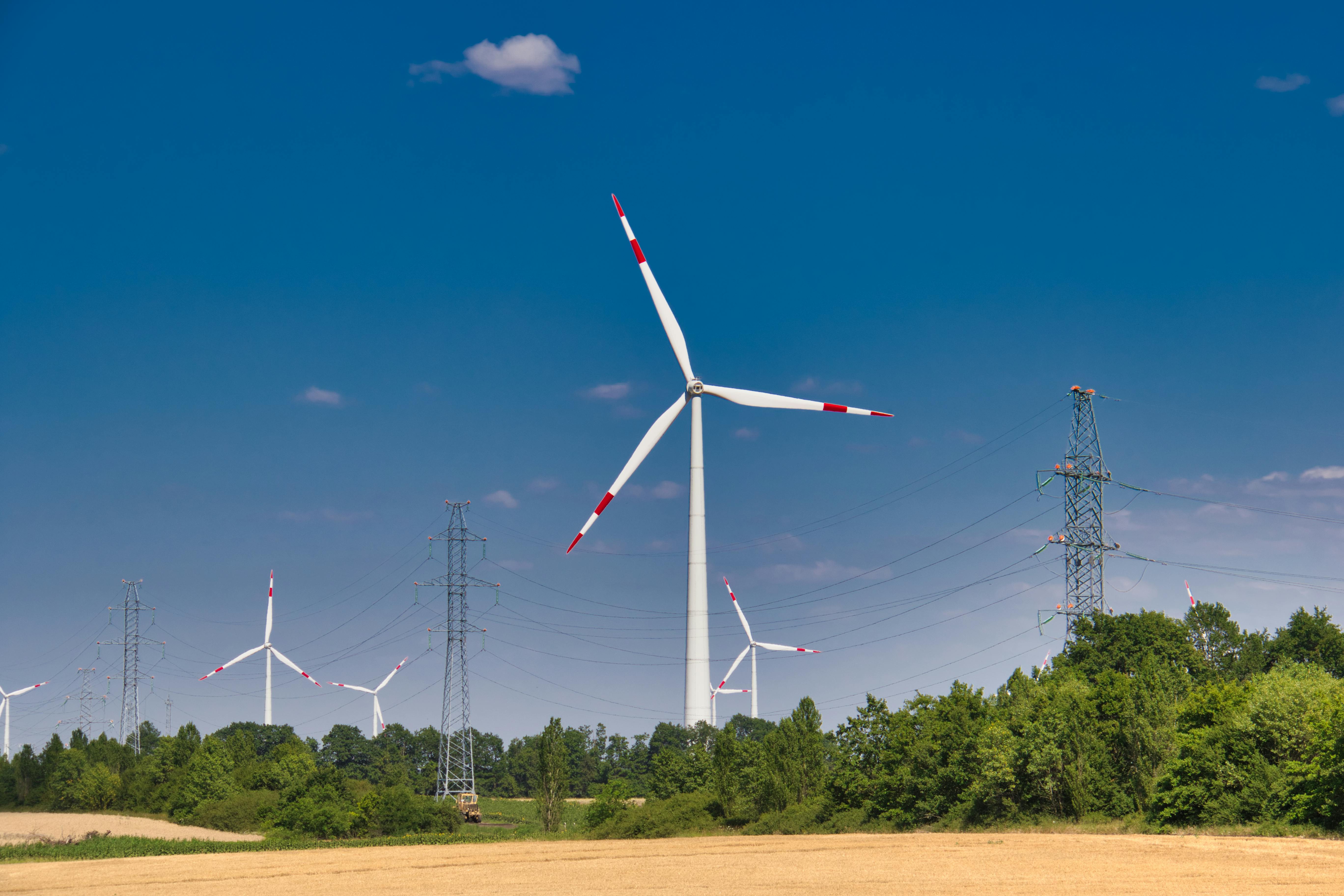 Wind turbines generating energy alongside power lines in a rural setting.