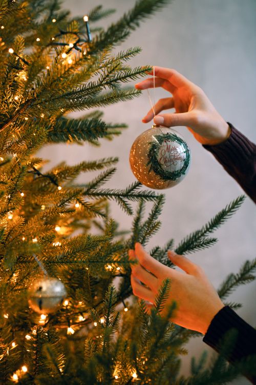 Free Hands delicately decorating a festive tree with shimmering Christmas lights. Stock Photo